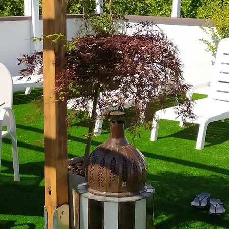 Kristalex Pet Family Hotel