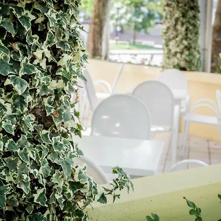 Kristalex Pet Family Hotel Cesenatico